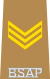 BSAP Sergeant insignia.svg