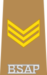 BSAP Sergeant insignia.svg