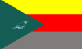 Bandeira de Irapuru