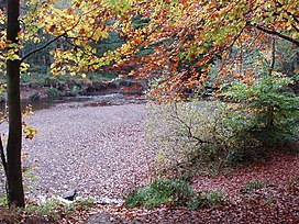 Bedburn Beck di musim gugur, Hamsterley Forest.jpg