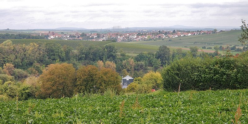 File:Beim 366 km langen Neckartalradweg, Blick über den Neckar - panoramio.jpg