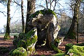 Bellefond Dolmen 1.JPG