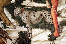 Benozzo gozzoli, corteo dei magi, 3 fine, 1459, 44 leopardo.JPG