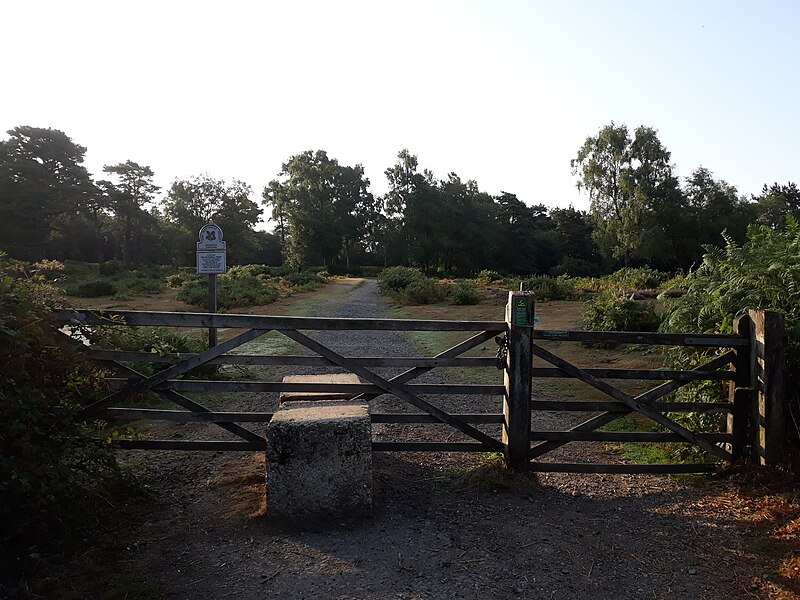 File:Blocked gate on Hindhead Common.jpg