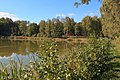 pohled na Bobří rybník u Pihelu