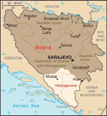 Bosna (historická země)