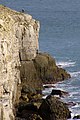 Climbers at Boulder Ruckle, Durlston Country Park