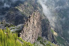 Brettförmiger Dyke unter dem Gipfel des Pico Ruivo, Madeira.