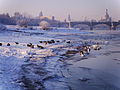 Februar 2020 Elbufer mit Albertbrücke (Geo Swan)