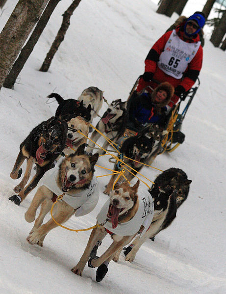 File:Bruce Linton's team near Goose Lake (4429519539).jpg