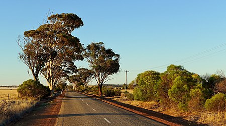 View of the Bruce Rock Merredin Road, 2014 Bruce Rock-Merredin Road, 2014(1).JPG