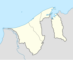 Rasau (Brunei)