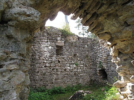 Burg Dellingen, Bräunlingen Waldhausen 01