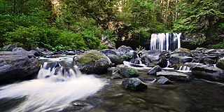 <span class="mw-page-title-main">Butte Creek (Oregon)</span> Stream in Oregon, United States of America