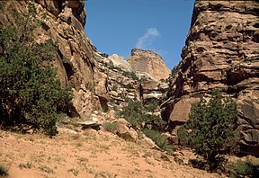 Golden Throne im Capitol-Reef-Nationalpark