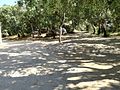 Calangianus - Parco delle Grazie - 2.jpg