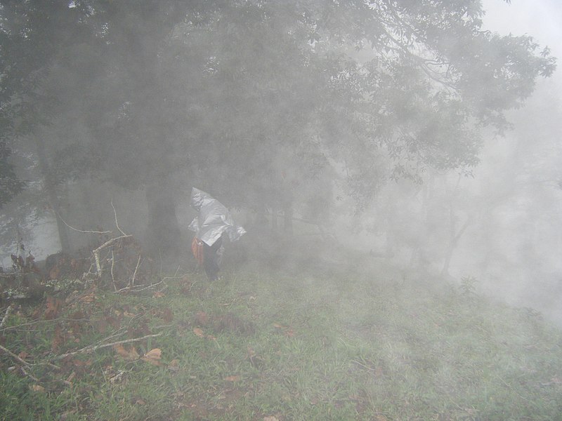 File:Camino al nenjo hgo con neblina - panoramio.jpg