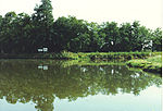 Vignette pour Canal latéral de Roanne à Digoin