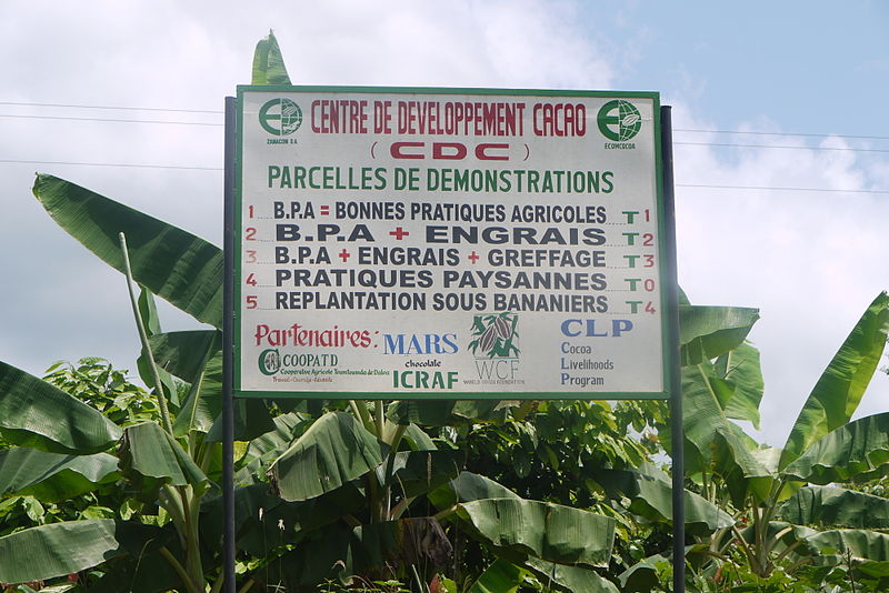 File:Centre de développement cacao.JPG