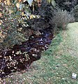 River Malše at the state border near Cetviny