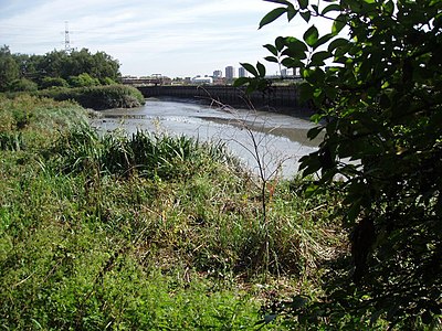 Channelsea River