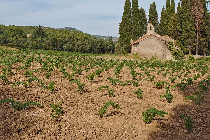 English: Chapel of Gléon (Villesèque-des-Corbières, France). Français : Chapelle de Gléon (Villesèque-des-Corbières, France).