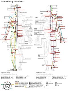 Meridian (Chinese medicine) Life-energy path in Chinese medicine