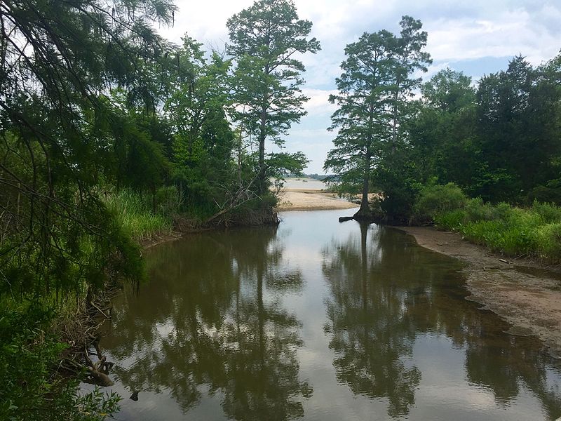 File:Chippokes Plantation State Park (27560511230).jpg