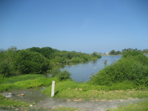 Santa Martos užutėkis parke