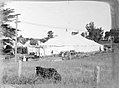 S. Bros. Circus, New Zealand, omkring 1930'erne.