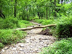 Clark Nature Center, Bucks County, Pennsylvania.jpg