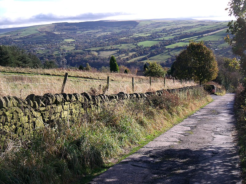 File:Cock Brow - geograph.org.uk - 3207018.jpg