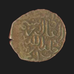 Sultan Rustam's coin, 1495 AD.