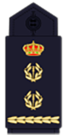 Divisas y distintivos de cargo de hombrera del Cuerpo Nacional de Policía.