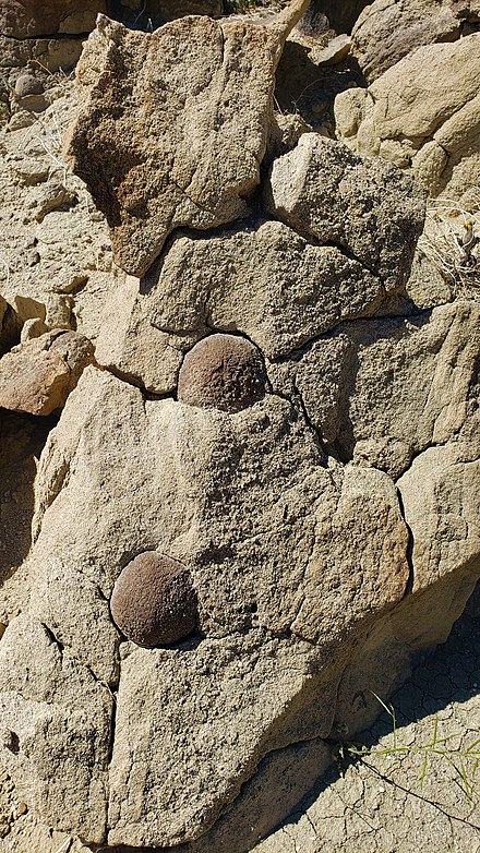 Spherical concretions embedded in sandstone in the Anza Borrego Desert State Park in California.