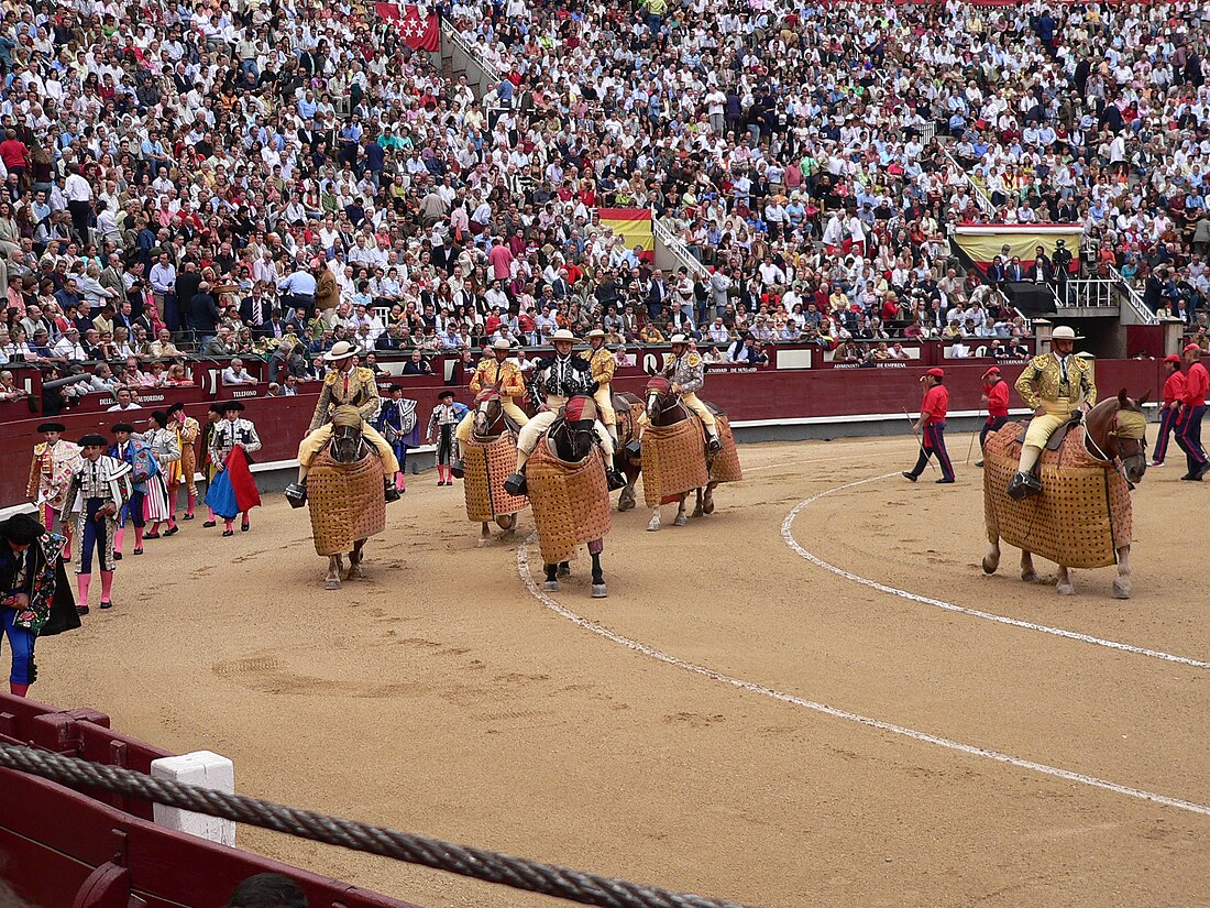 Corrida de toros