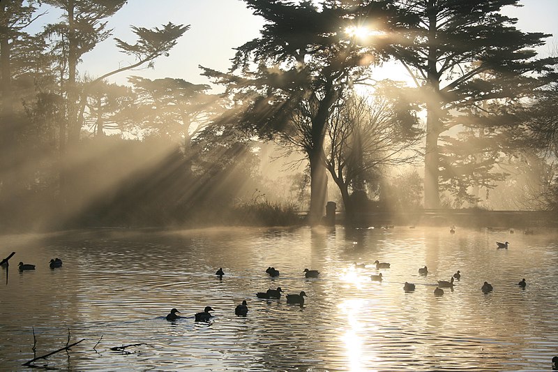 File:Crepuscular rays in ggp 2.jpg