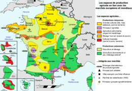 Croquis des espaces de production agricole français.