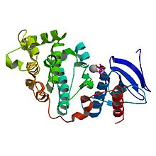 Crystal Structure of Fus3 MAP Kinase Crystal Structure of Fus3 MAP Kinase.jpg