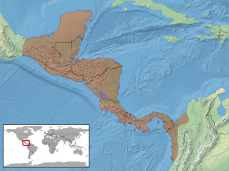 Ctenosaura similis distribution.png