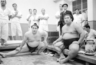<span class="mw-page-title-main">Daikirin Takayoshi</span> Sumo wrestler