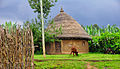 Daro Village, Ethiopia (8049453502).jpg