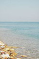 Dead Sea (4072771897).jpg