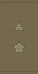 Løjtnant(Royal Danish Army)[28]