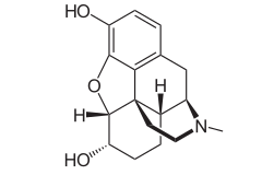 Niepodpisana grafika związku chemicznego; prawdopodobnie struktura chemiczna bądź trójwymiarowy model cząsteczki