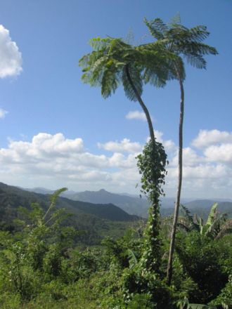 A view to the west from the foot of El Yunque, near Baracoa, Cuba