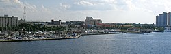 Skyline of Fort Myers