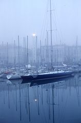 Fog in the port of La Rochelle (France)