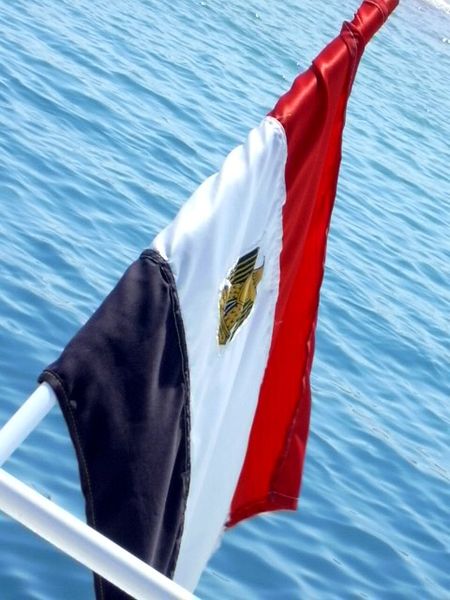 File:Egyptian flag.jpg