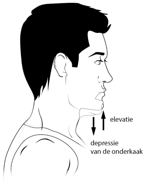 File:Elevatie en depressie.png